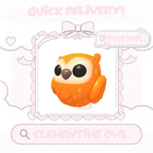 Clementine owl
