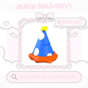 2022 birthday party hat