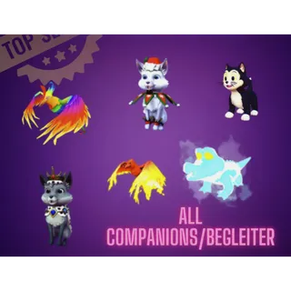 All Companions | All Platforms | Same Day Delivery