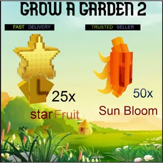 25x STAR FRUIT  | 50x sun bloom | Fast Delivery 