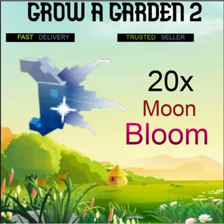 20x moon bloom  | Fast Delivery 