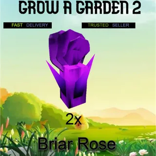 Briar Rose Seed 2x | Grow a Garden 2 | Fast Delivery | Cheap Price