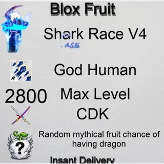 Blox Fruits Account | shark Race V4 | Godhuman | CDK | Max Level 2800 | Random Mythical Fruits | Chance of Dragon Fruit