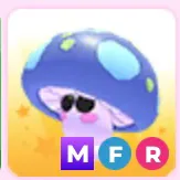 mfr mushroom friend