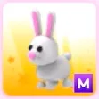 mega bunny