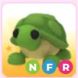 NFR turtle