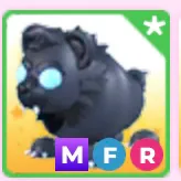 mfr scarebear