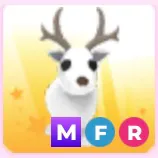 MFR Arctic Reindeer