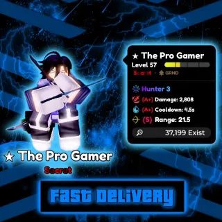 THE PRO GAMER EVO (A+ A+ S) / FAST DELIVERY