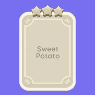 Sweet Potato