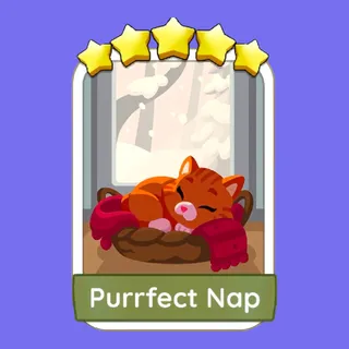Purrfect Nap