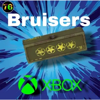 Bruiser mod 4 star