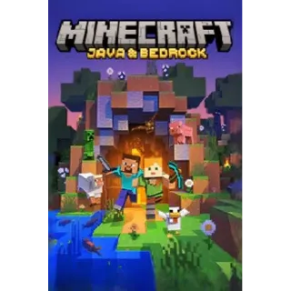 Minecraft Java and bedrock Edition 