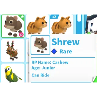 Shrew R