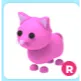 pink cat only 5$