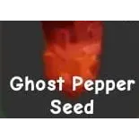 Ghost pepper seed 10x