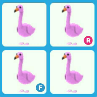 Pet Adopt Me Flamingo X4 In Game Items Gameflip - flamingo roblox adopt me pets