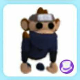 Pet Adopt Me Ninja Monkey In Game Items Gameflip - ninja roblox animations id