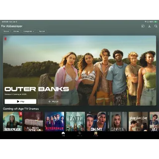 Netflix account sharing for 12 months premium 