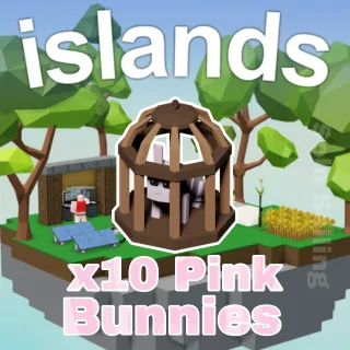x10 Pink Rabbits | Islands