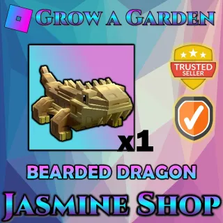 BEARDED DRAGON
