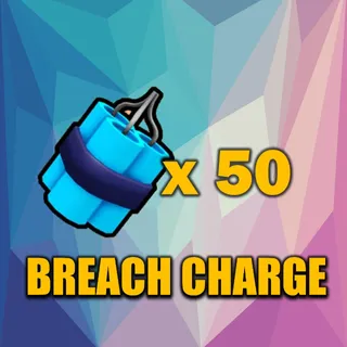 BREACH CHARGE