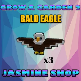BALD EAGLE