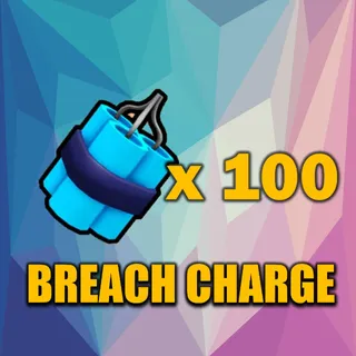 BREACH CHARGE