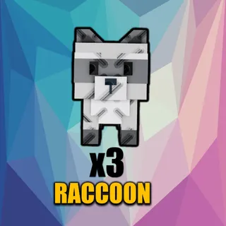 raccoon