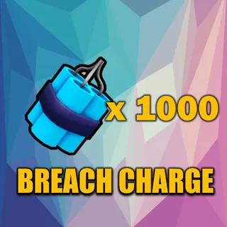 breach charge