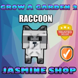 raccoon