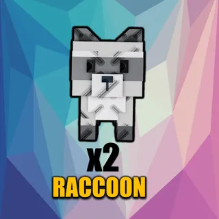 raccoon