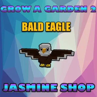 BALD  EAGLE