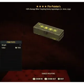 Pin pointer mod