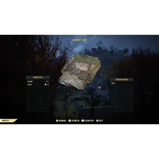 Rare Apparel | Leather Coat