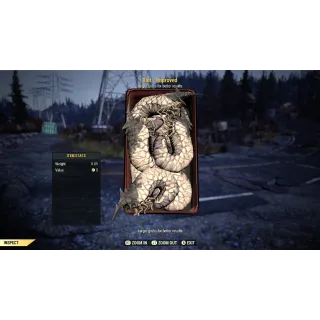 Bait | Improved Bait (500)