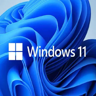 Windows 11 Pro