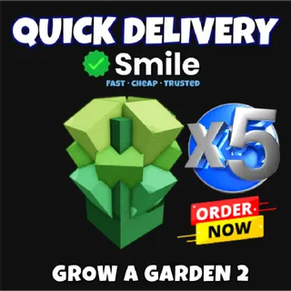 5x romanesco seeds   | Fast Delivery