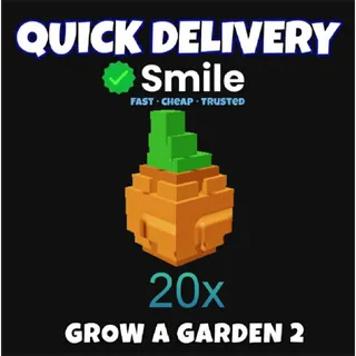 20x  atlantic giant pumpkin seeds | Fast Delivery