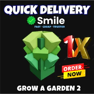 1x romanesco seeds   | Fast Delivery