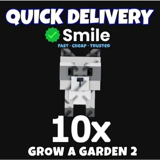 10x RACCOON (Cheapest)
