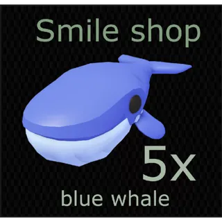 5x blue whale  | fast delivery