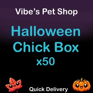 Halloween Chick Box x50