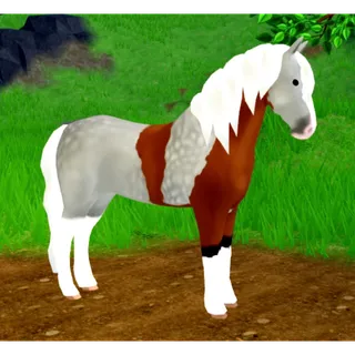 WHI legacy breed chimera friesian