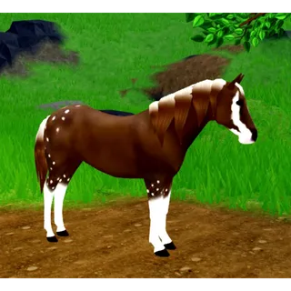 WHI hot cocoa mustang