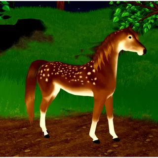 PB Fawn Arabian horse - WHI