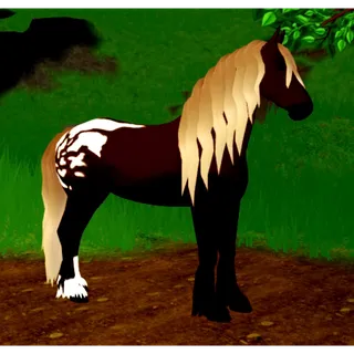 WHI legacy coat friesian