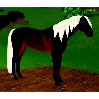 WHI co-breeding unique thoroughbred