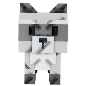 raccoon