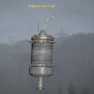 Induction Coil Misc